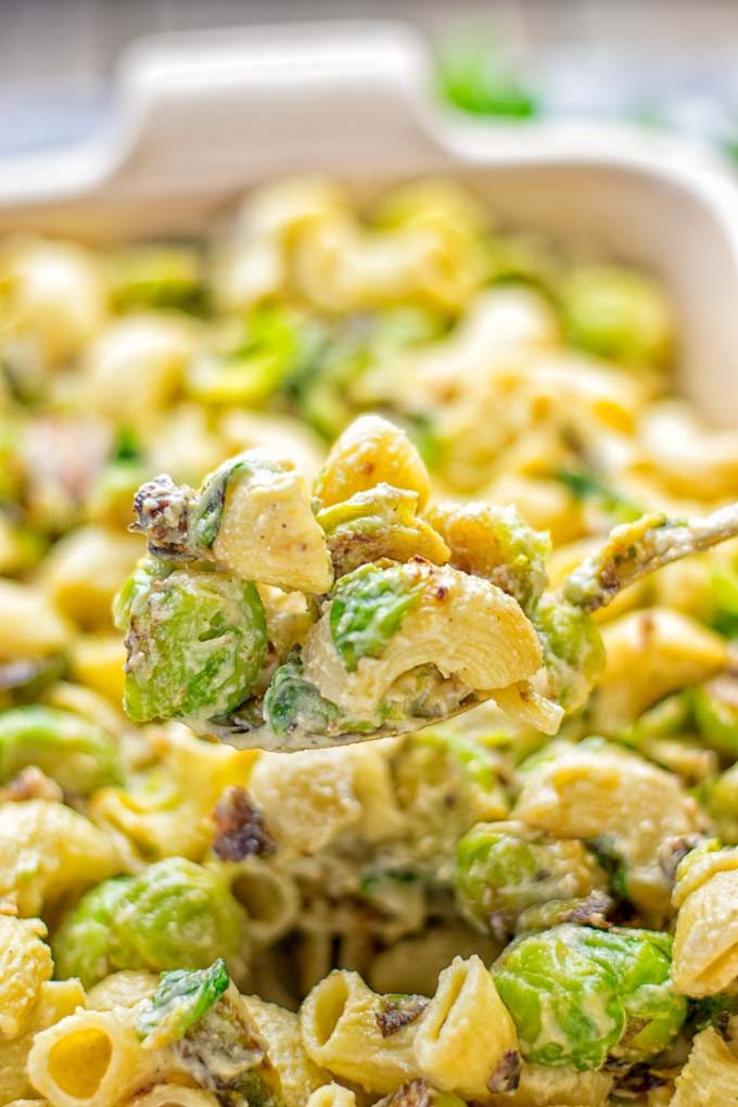 This Garlic Brussels Sprouts Mac and Cheese is entirely vegan, gluten free, and super easy to make. It's an amazing comfort food for dinner, lunch, meal prep, work lunches, date nights and of course the holidays. Everyone will get addicted to this from the first to the last bite, try it now! #vegan #glutenfree #dairyfree #vegetarian #mealprep #dinner #lunch #worklunchideas #holidays #macandcheese #contentednesscooking #pasta #thanksgiving