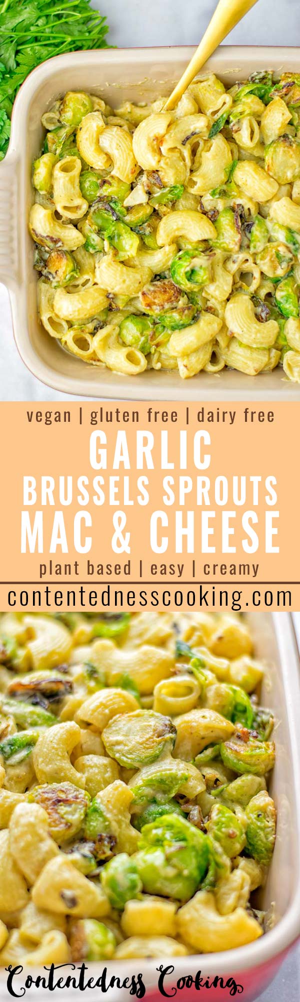 This Garlic Brussels Sprouts Mac and Cheese is entirely vegan, gluten free, and super easy to make. It's an amazing comfort food for dinner, lunch, meal prep, work lunches, date nights and of course the holidays. Everyone will get addicted to this from the first to the last bite, try it now! #vegan #glutenfree #dairyfree #vegetarian #mealprep #dinner #lunch #worklunchideas #holidays #macandcheese #contentednesscooking #pasta #thanksgiving