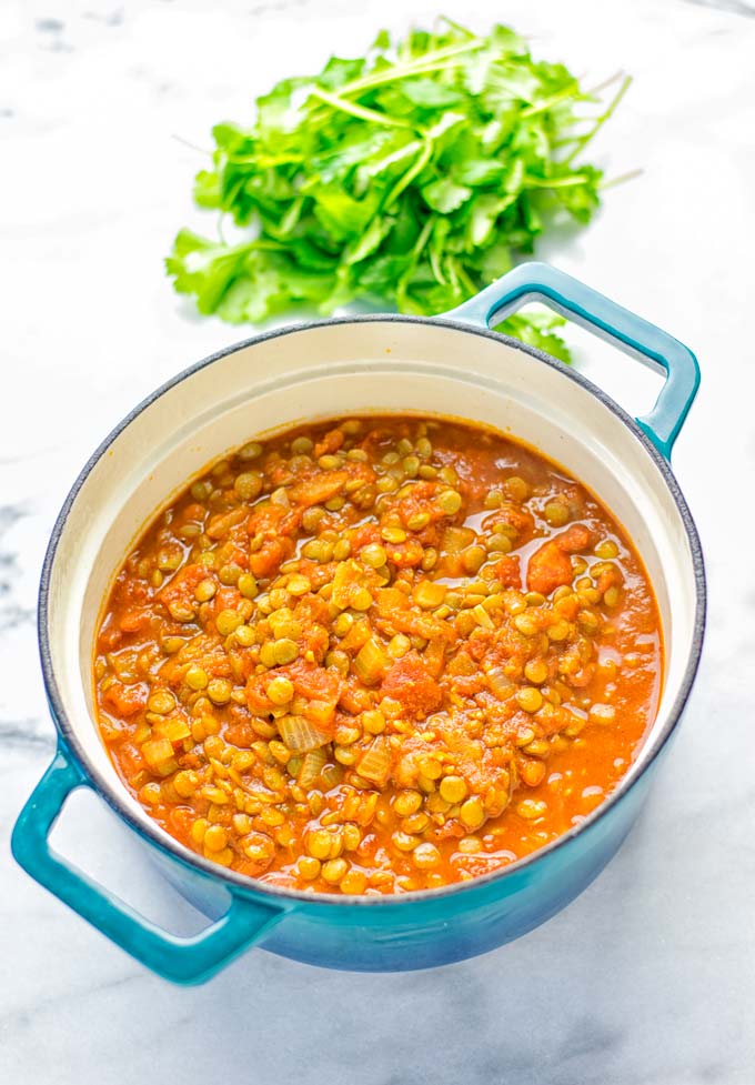 Amazingly tasty Moroccan Spiced Lentils super easy to make in one pot and packed with fantastic flavors. A super easy idea for lunch, dinner, meal prep and work lunch. Enjoy them plain, or over rice, so yummy! Try it now and you know what I'm taking about! #vegan #glutenfree #dairyfree #vegetarian #onepotmeals #lentils #moroccan #lunch #dinner #mealprep #worklunchideas #contentednesscooking #easyfood