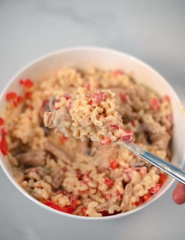 A large spoon of Chicken Macaroni is lifted from a bowl.