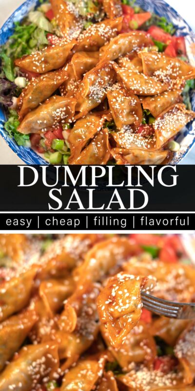 Collage of two photos showing Dumpling Salad with recipe title text.